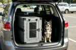 Heavy Duty Aluminum Foldable Dog Crate for Large Dogs – TITAN FOLD M | Collapsible Portable Travel Kennel for Car Trunk SUV – Titan Villa - Image 5